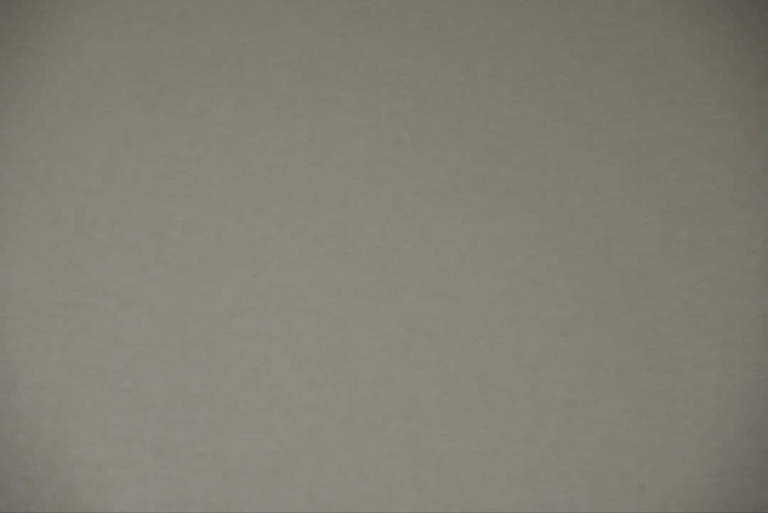 再出品SIGMA 100-400mm F5-6.3 DG DN OS　Eマウント