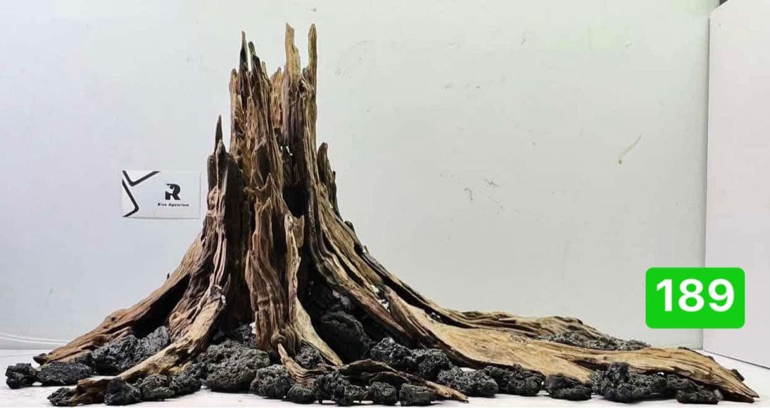 TTD 18945 【⭐︎ たっくる様⭐︎】【美品・数量限定】