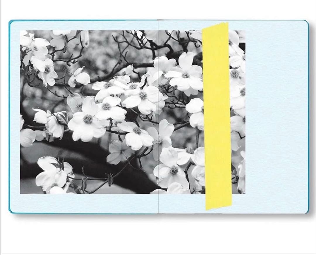 ソフィア.コッポラ　スケジュール帳　新品未使用