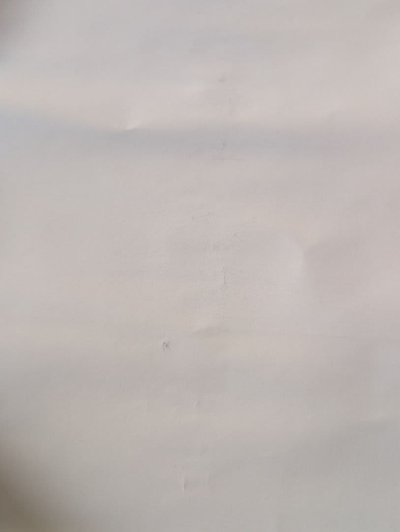 TMGE ミッシェルガンエレファント ポスター