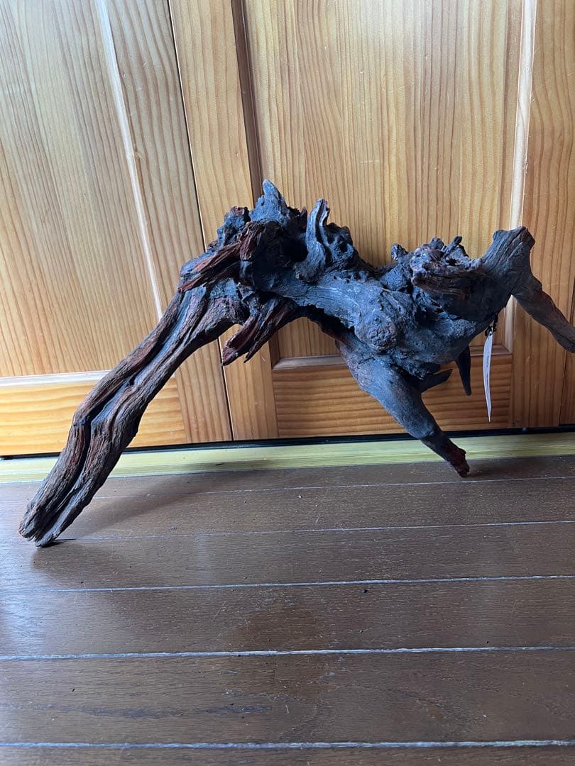 ADA ホーンウッド　HORN WOOD LL