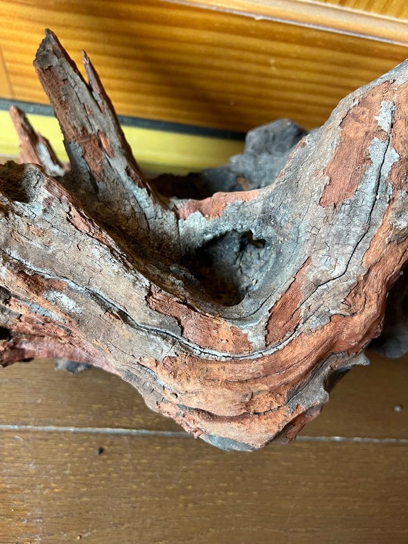 ADA ホーンウッド　HORN WOOD LL