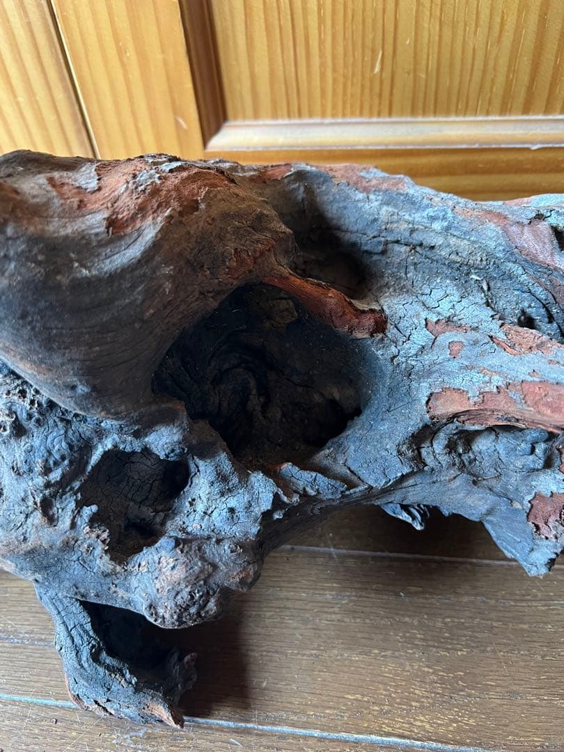 ADA ホーンウッド　HORN WOOD LL