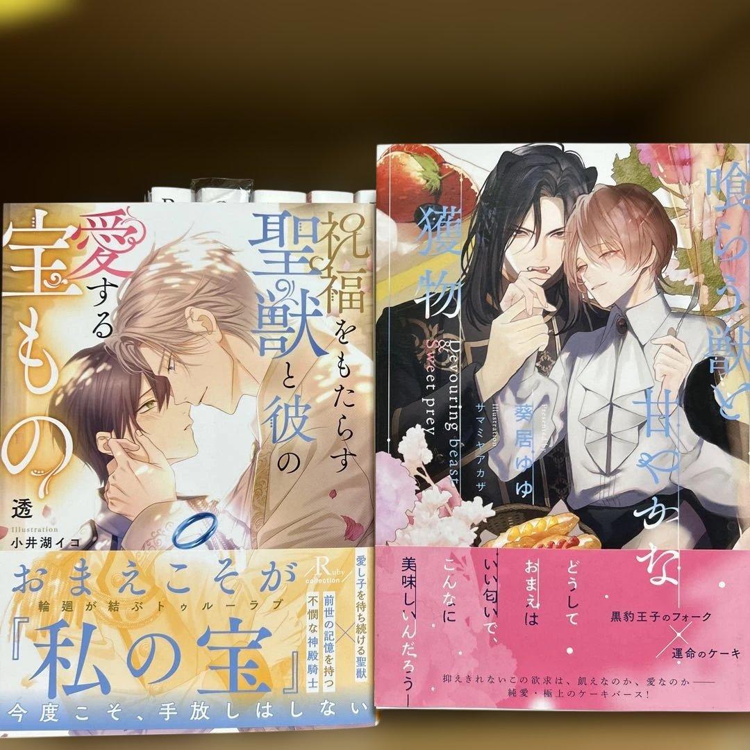 bl 小説纏め売り　大判サイズ15冊セット