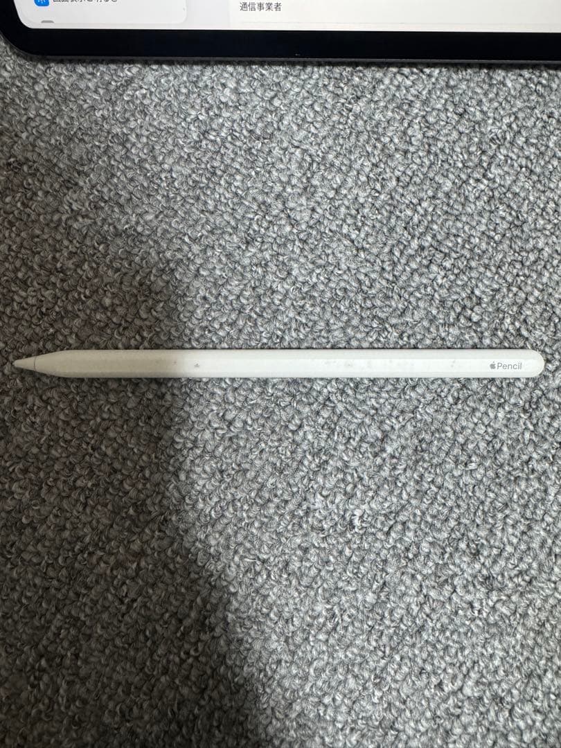 iPad Pro 11 inch (第3世代) M1 2TB cellular