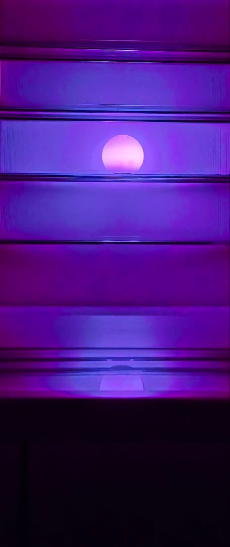 その他 Grey type Alien figure modeled object