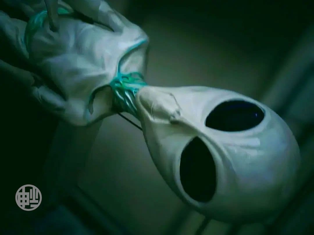 その他 Grey type Alien figure modeled object