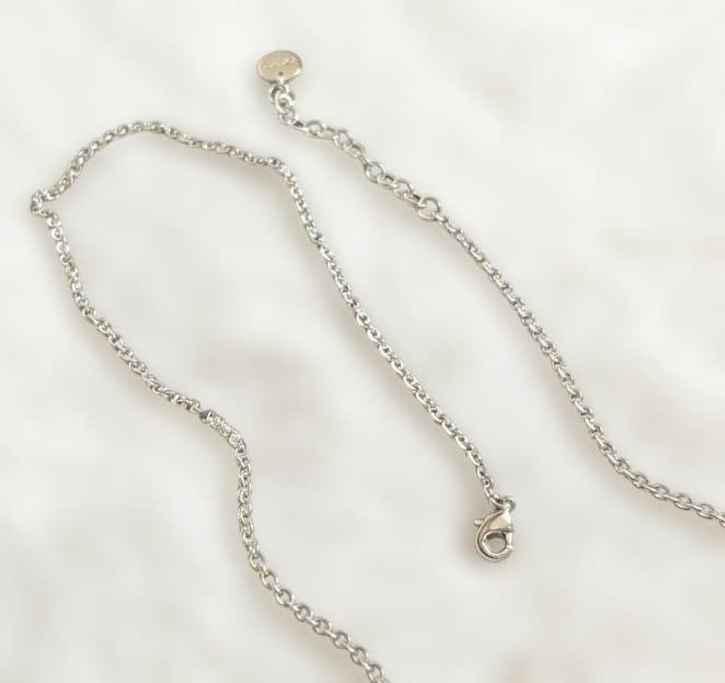 DIOR★ロゴ ネックレス シルバー