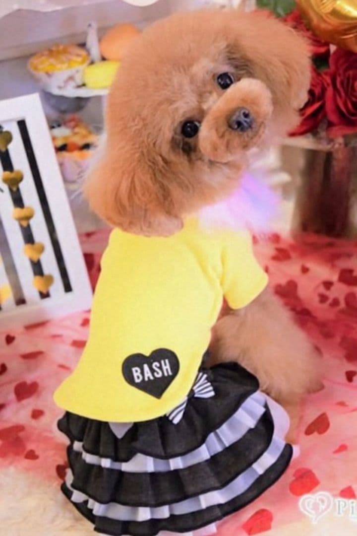 THEfancys テラヘルツ2wayフリフリワンピ ブラック＋ピンク