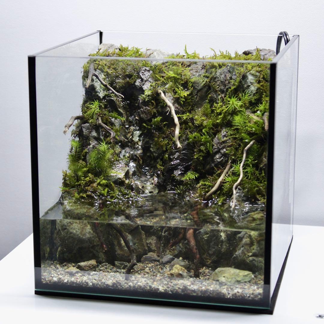 ざん　アクアテラリウム　レイアウト作品　195
