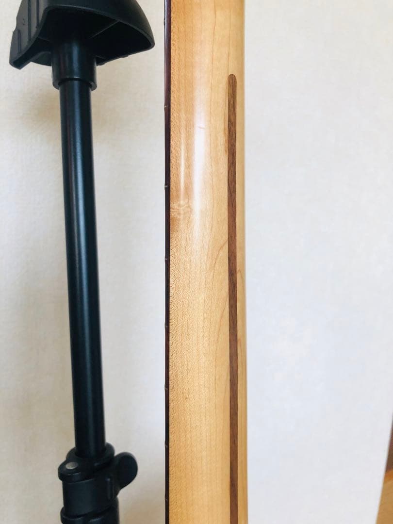 FERNANDES エレキギター ホワイト