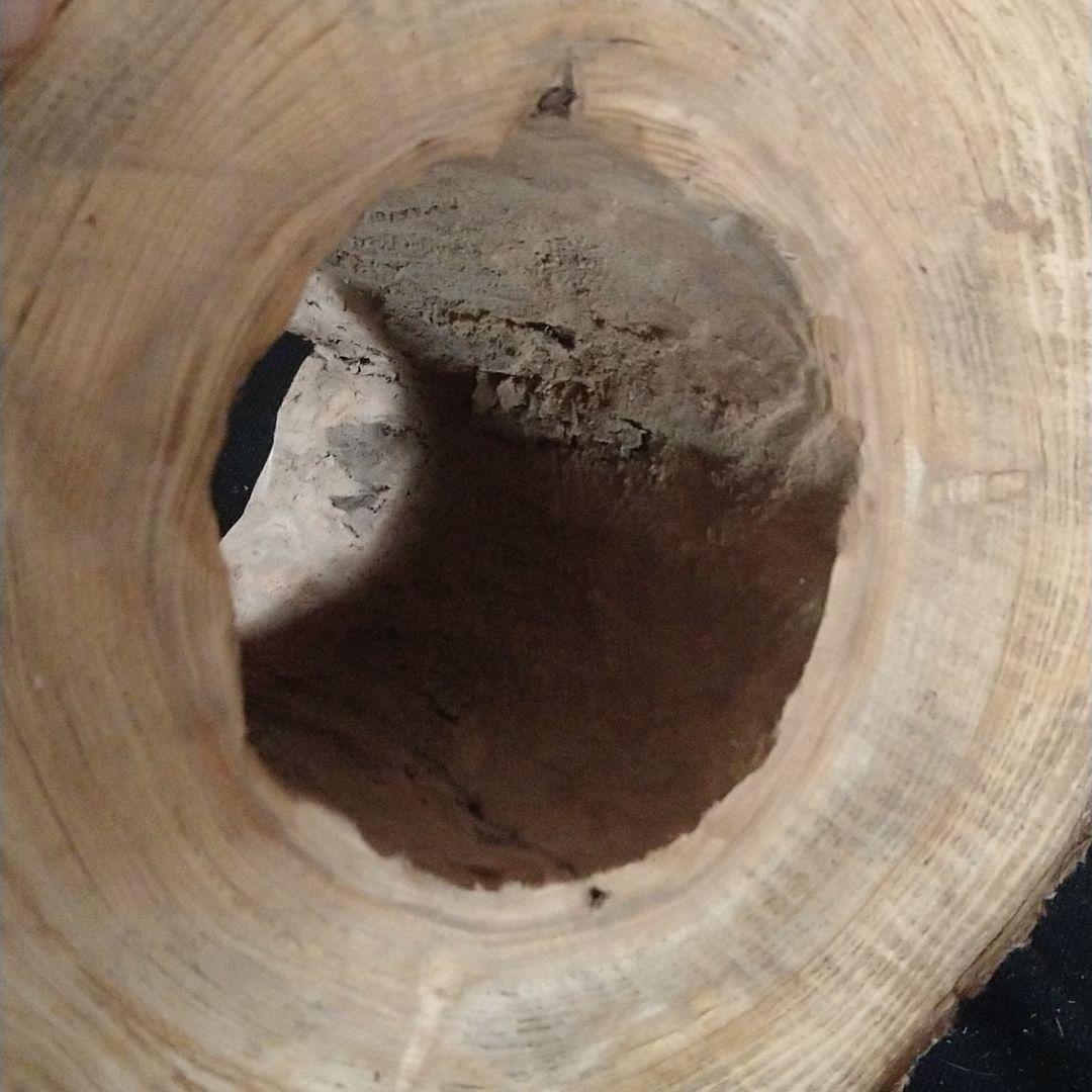 交渉中です！くりぬき丸太(杉)