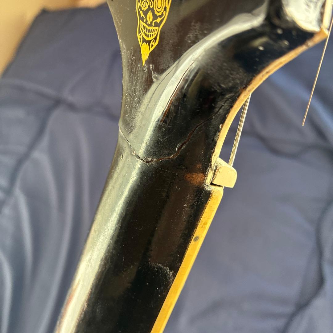 ギター epiphone ES-335 shinichi ubakata