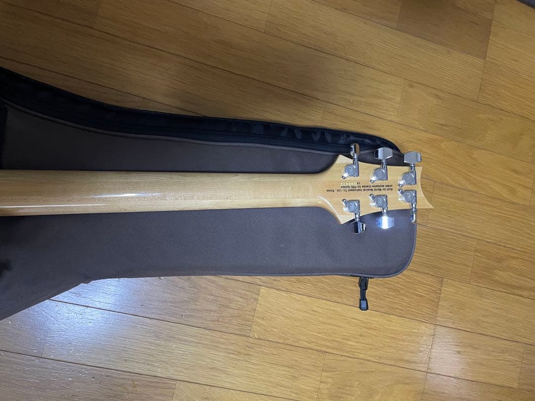 調整済み！PRS SE CUSTOM24 Trampas Green ギブソン