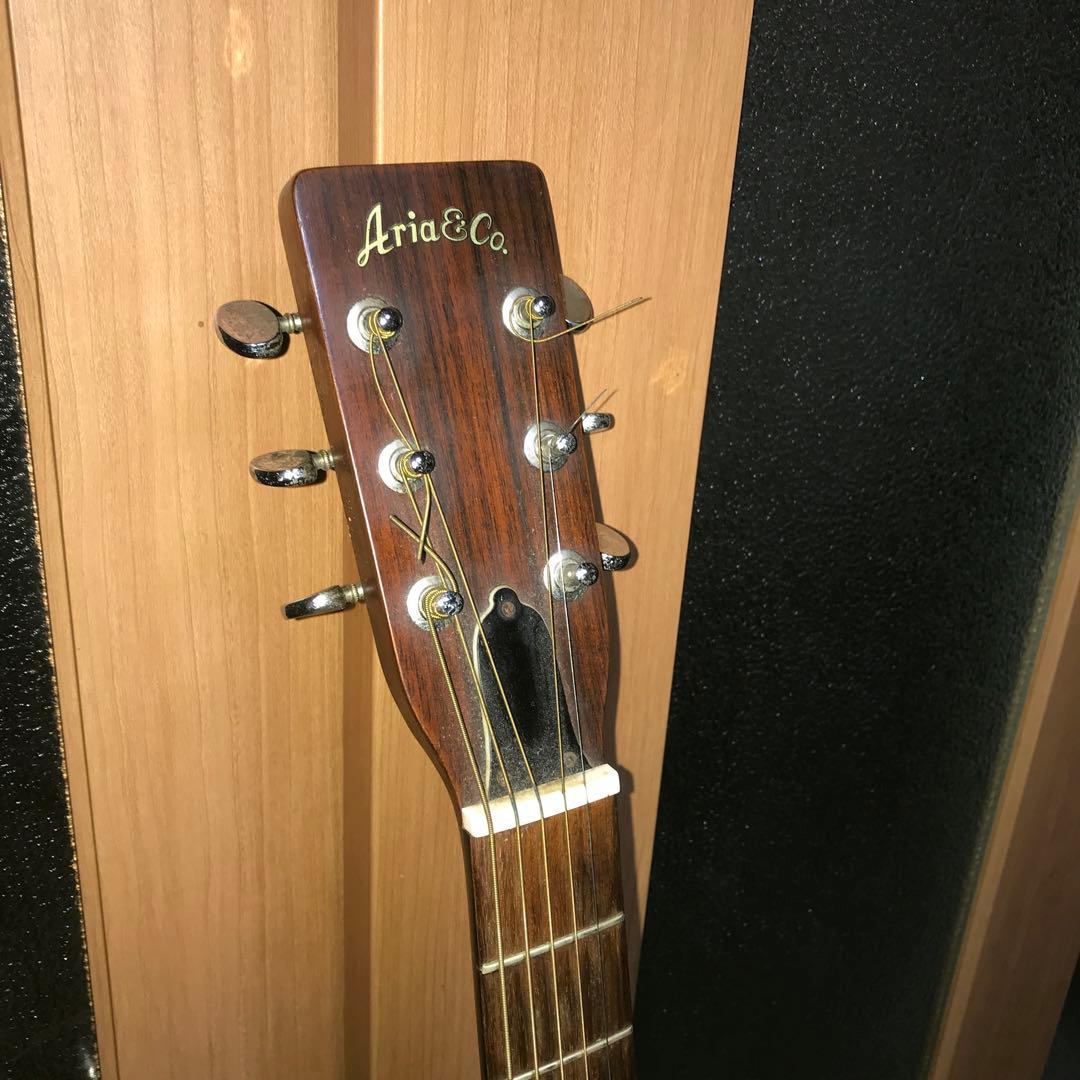ギター Aria W-130