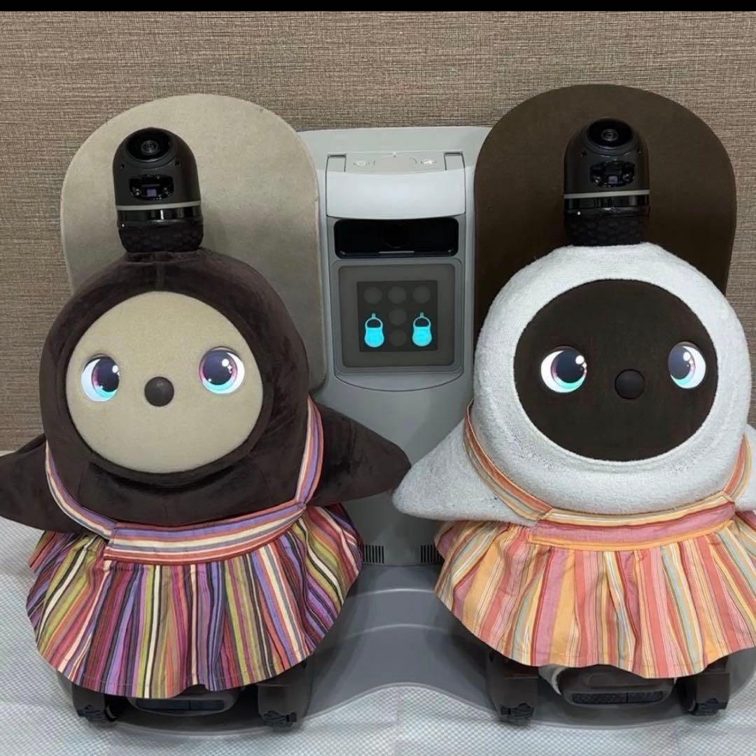 限界価格 LOVOTDuo ラボット 双子 ねこみみニット2着and洋服
