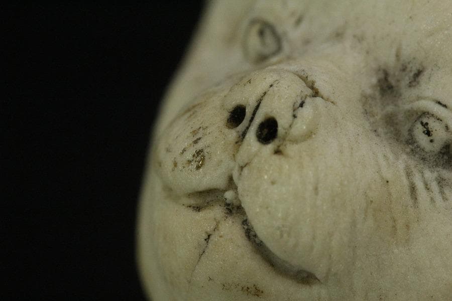 陶製 可愛い犬 置物(ZE660)