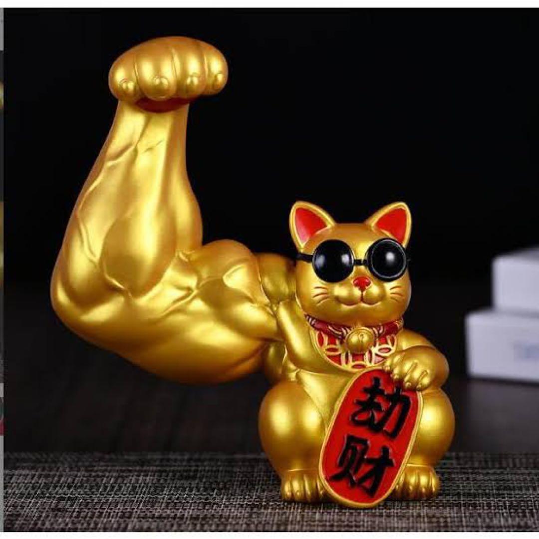 saalio ドリカムはん専用