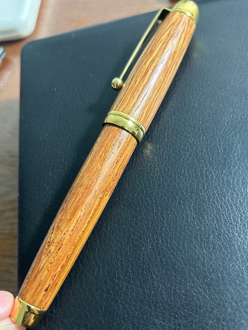 パイロット　pilot 万年筆　日高晤郎　北海道限定　希少モデル　筆記確認済み