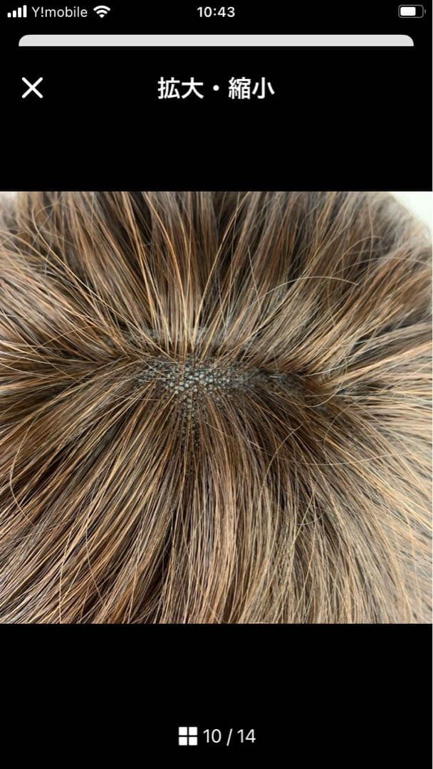 アートネイチャー　jo フルウィッグ　機械植え　レディース