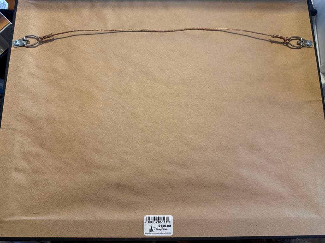 ディズニー クルーズ ライン フレーム付き ピンバッジ セット Disney