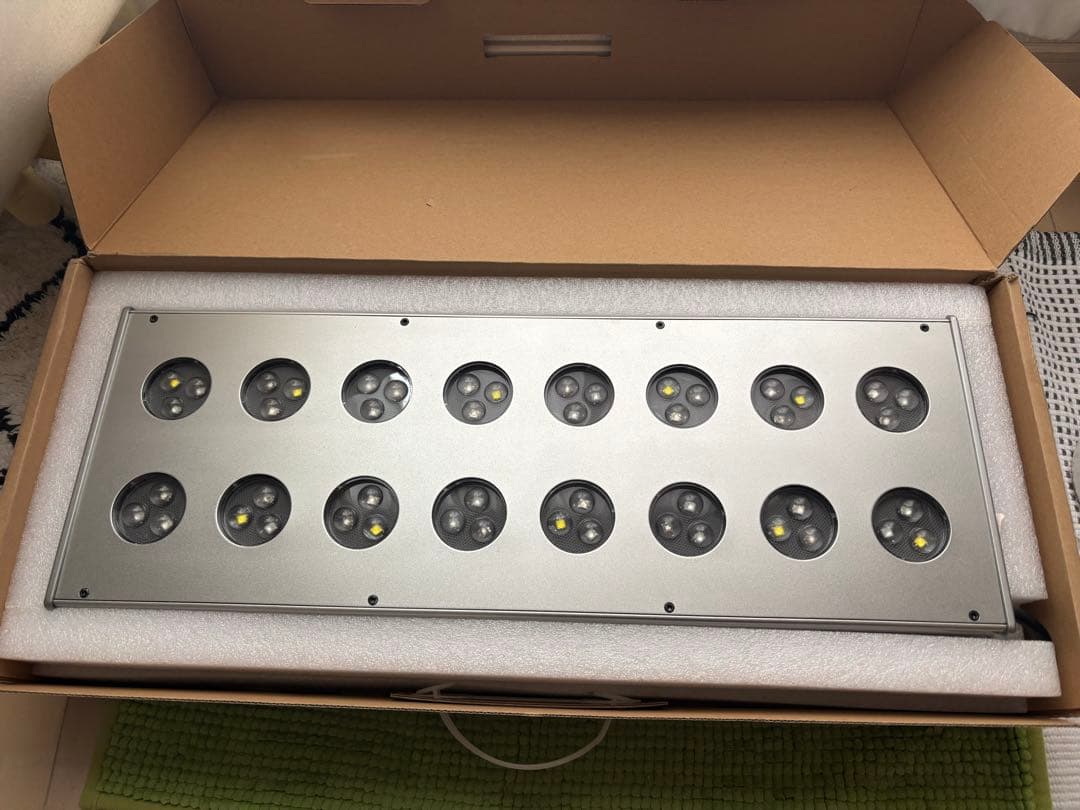 美品　ZOOX　レブロン60