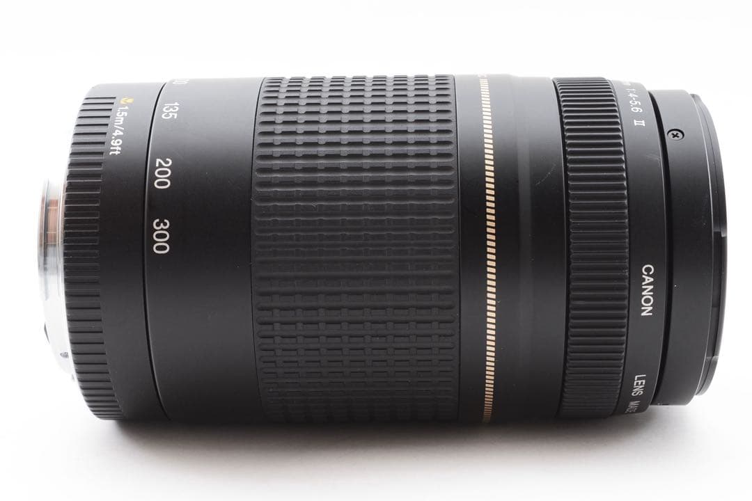 Canon EF 75-300㎜1:4-5.6 Ⅱ / ULTRASONIC