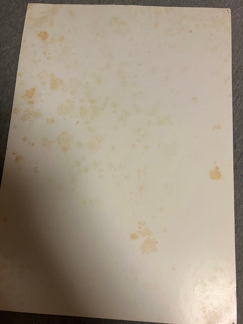 聖闘士星矢 1987年 ポスター 全9枚セット　東映アニメーション