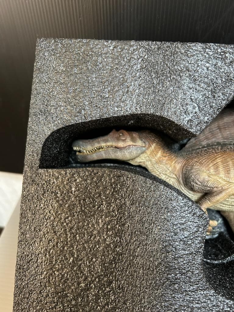 Nanmu 本心楠改 1/35 サイズ スピノサウルス