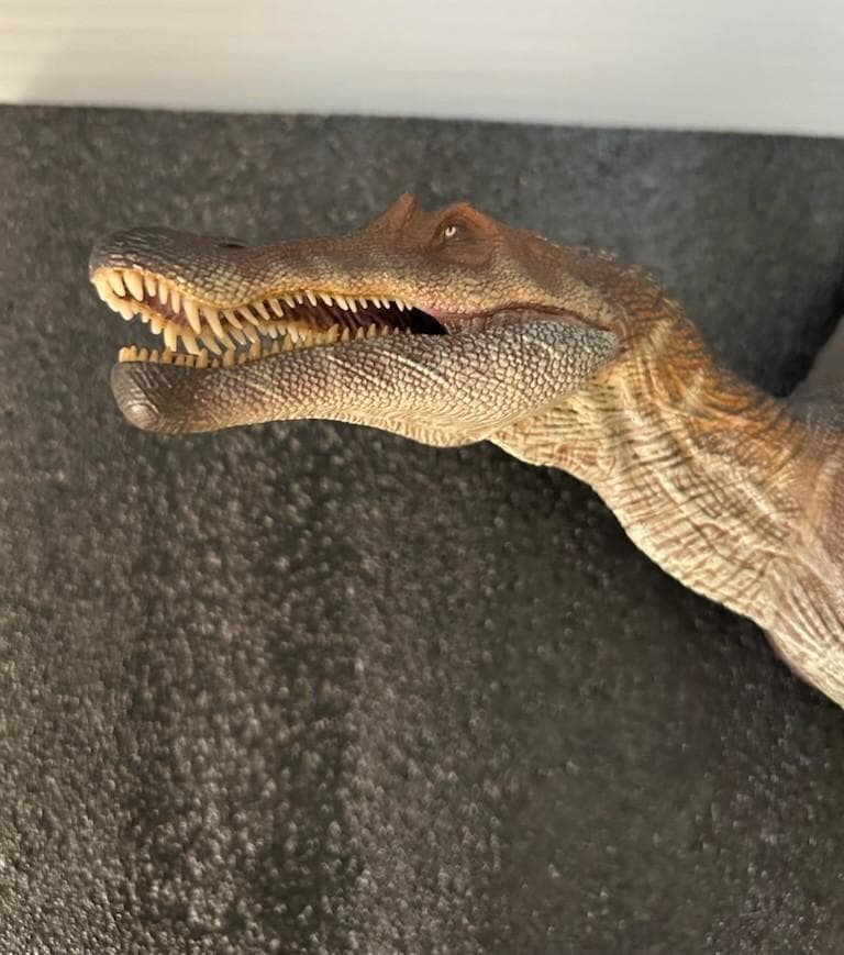 Nanmu 本心楠改 1/35 サイズ スピノサウルス