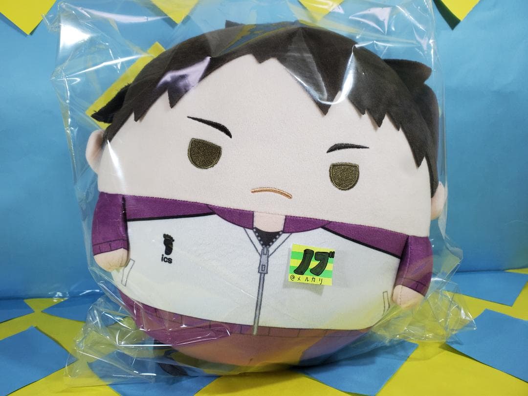 ハイキュー!! ふわコロりんBIG9 Msize9 牛島 若利 ジャージver.