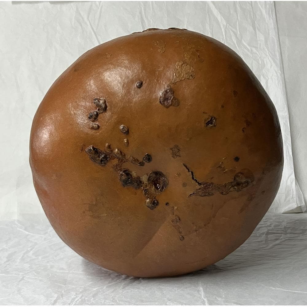 w163 ふくべ炭斗 炭入り 炭斗 炭取 瓢炭取 炭入れ 茶道具