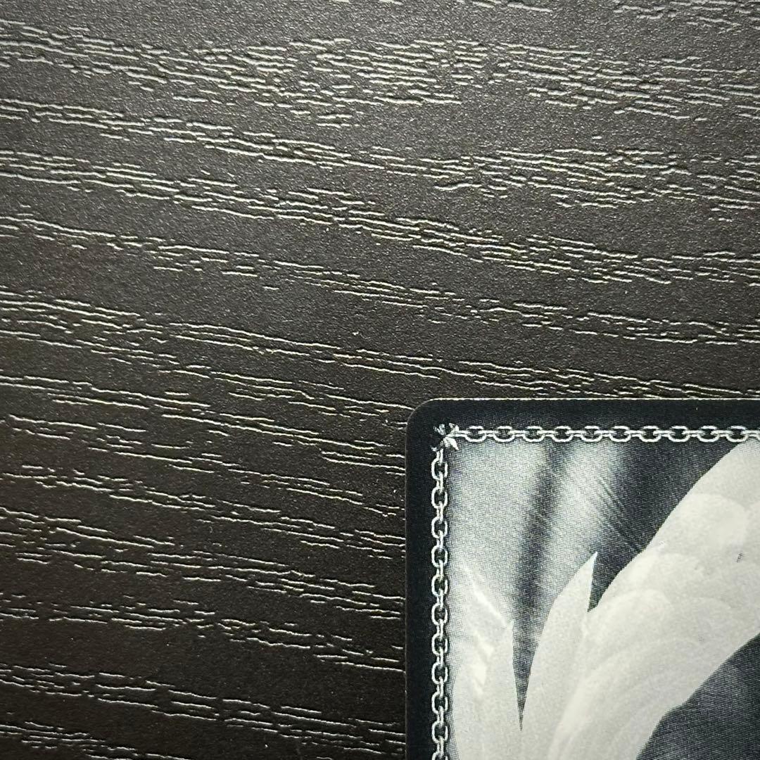 WS レーゲンスブルク SP サイン