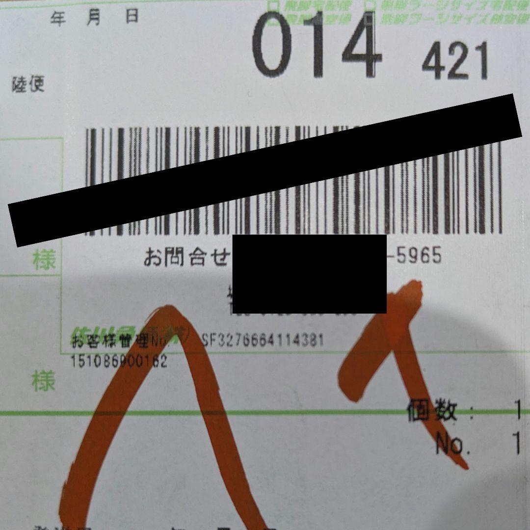 正規品　新品 ラブブ　THE MONSTERS Big into Energy