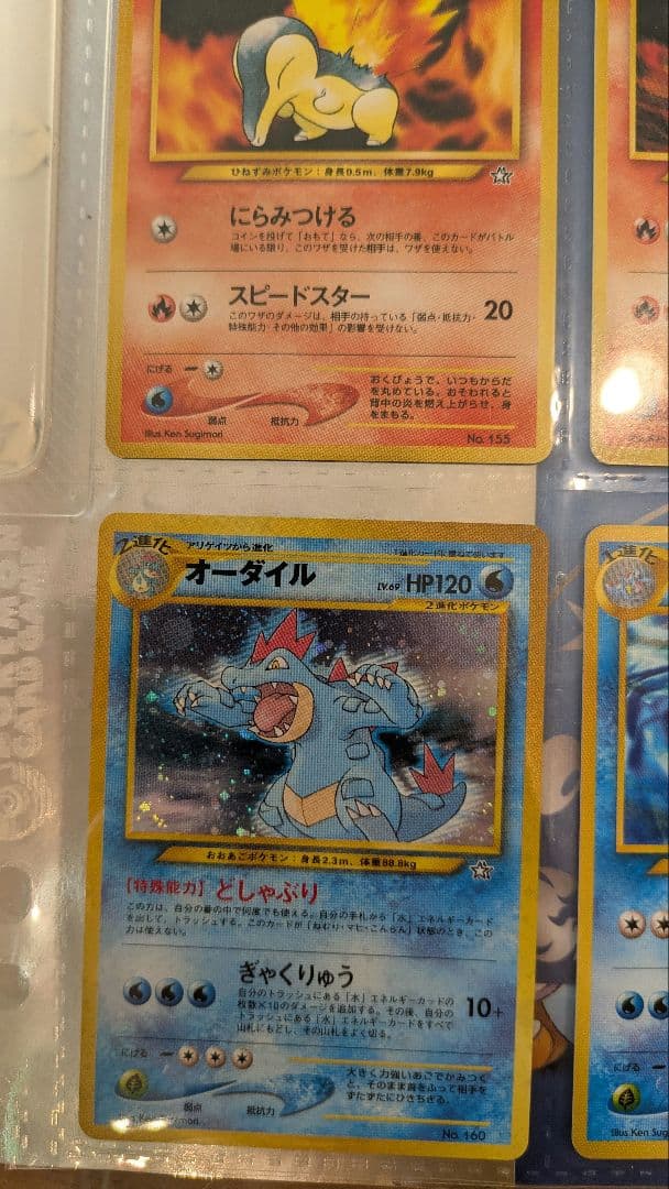 ポケモンカードneo コレクションファイル