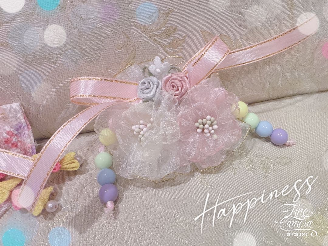 B409.pon2pan2☆オーダー☆犬お着物