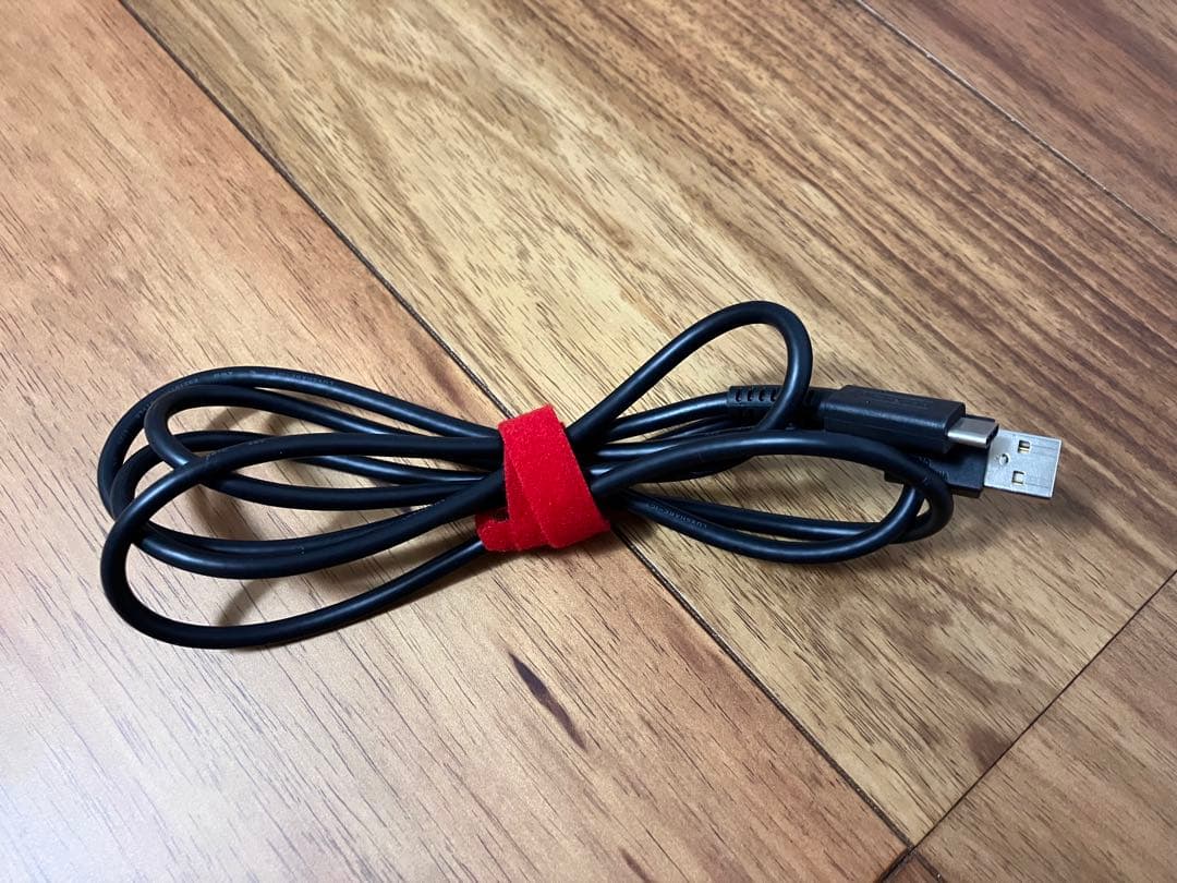 Nintendo Switch 本体・プロコン2台付き