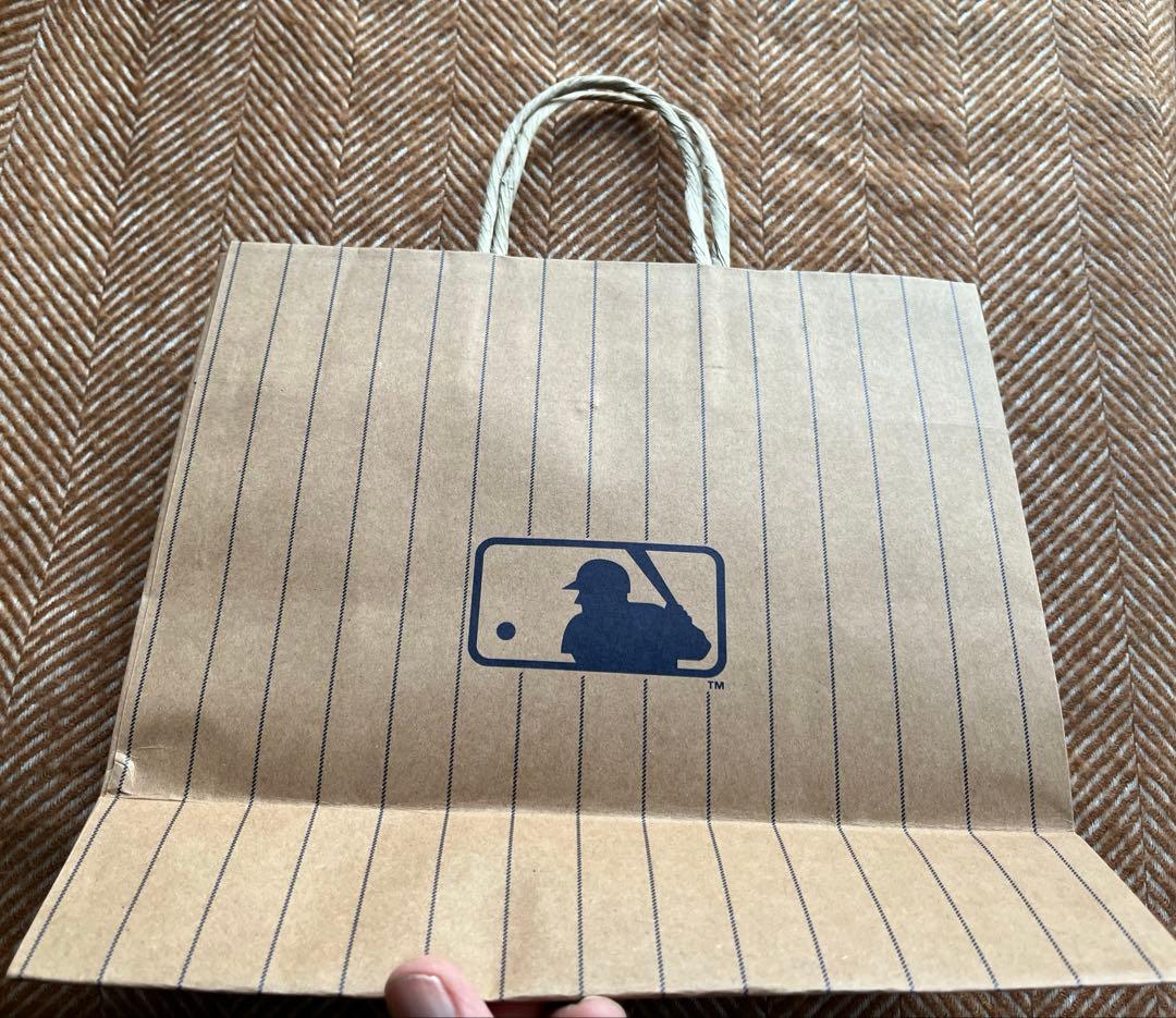 MLBビーニー ボーダー　karina着用 猫耳ニット帽　ミャオン　ショッパー