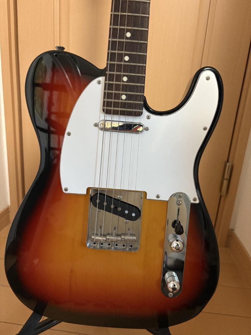 bridge9 FgN(フジゲン)JTL 6Rテレキャスタータイプ