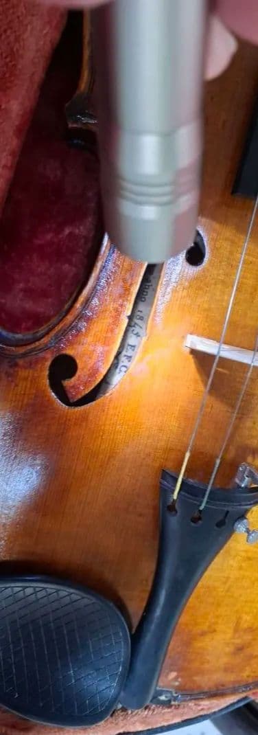 (エンリスク チェルティー 裏板のみ制作)のバイオリン