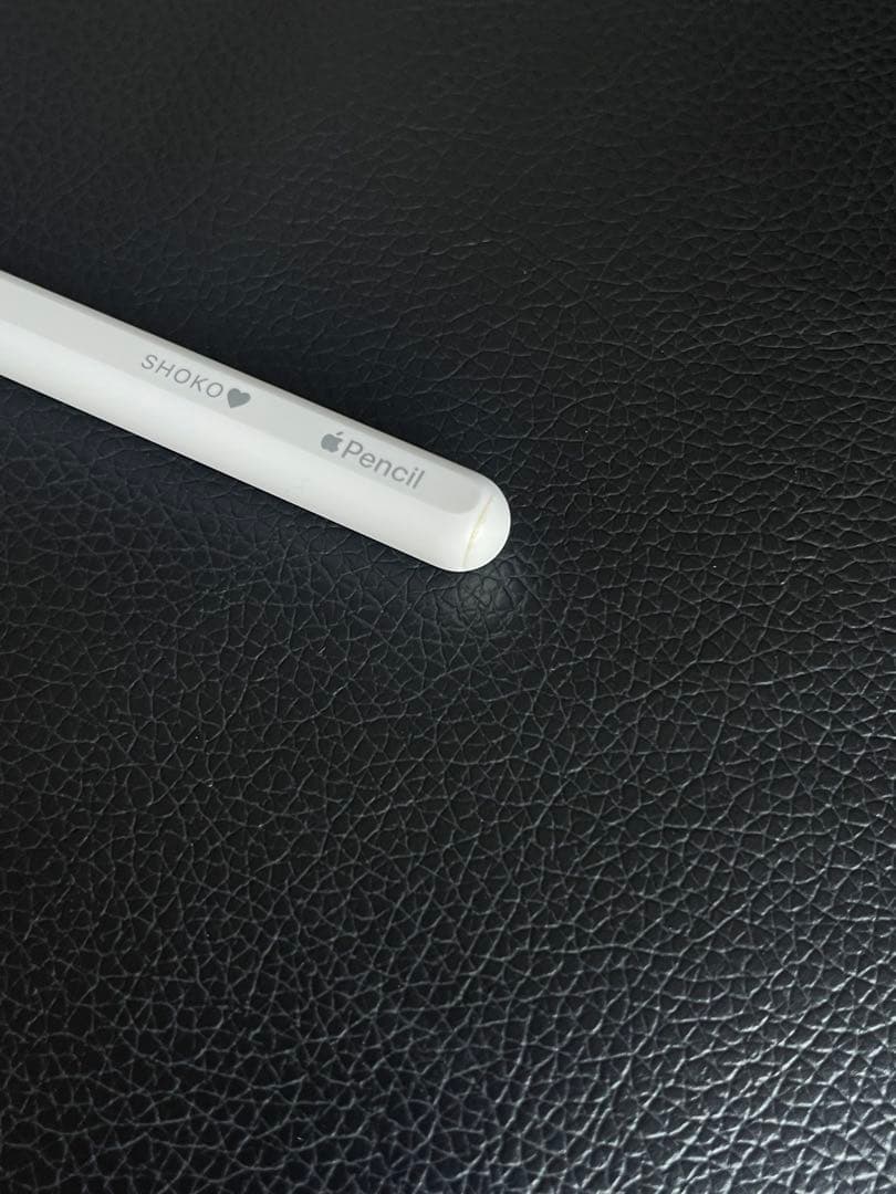 iPad Pro 12.9 第5世代 256GB セルラー フルセット【美品】