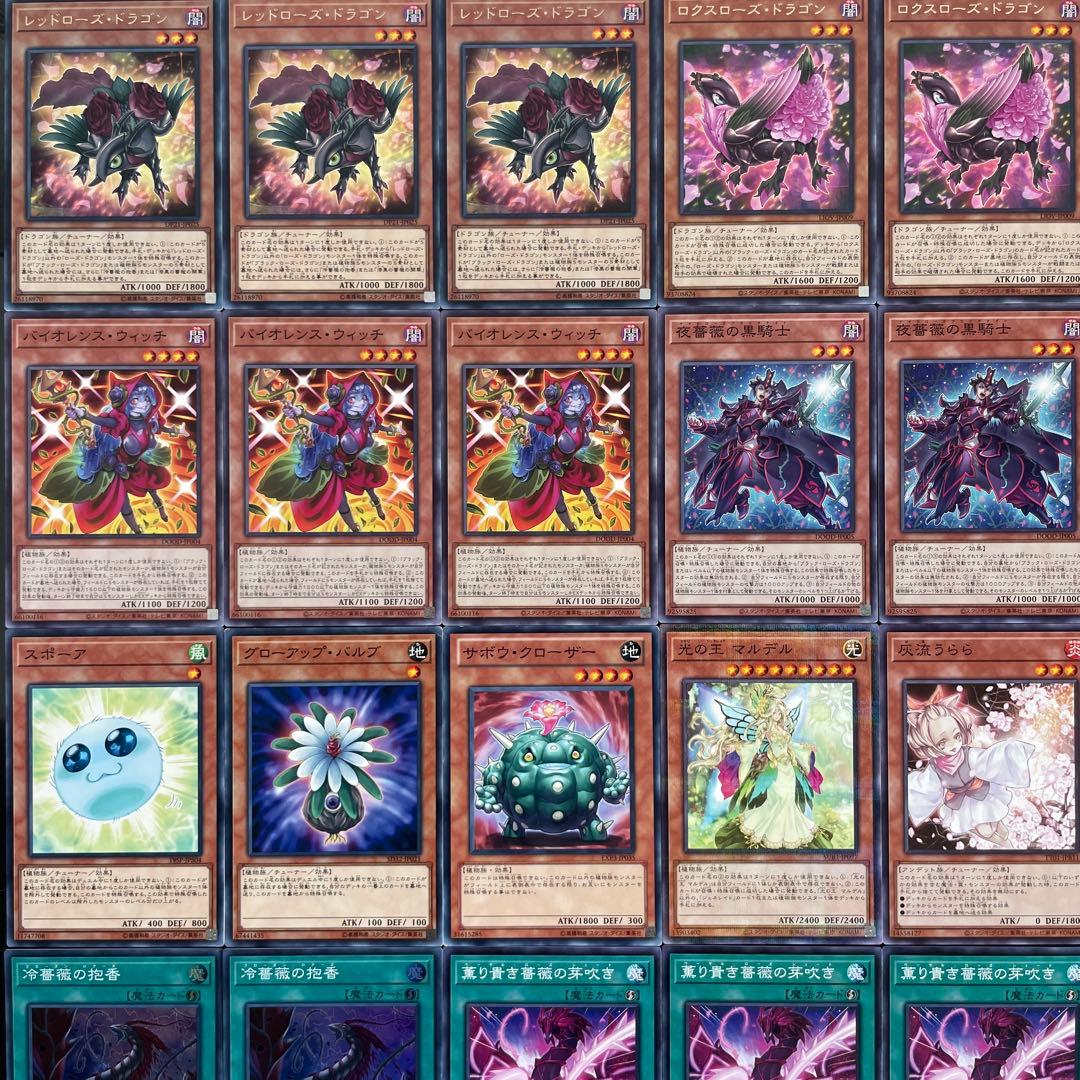 遊戯王 ローズドラゴン 本格構築済みデッキ 十六夜アキ 黒薔薇 月華竜 ブラッド