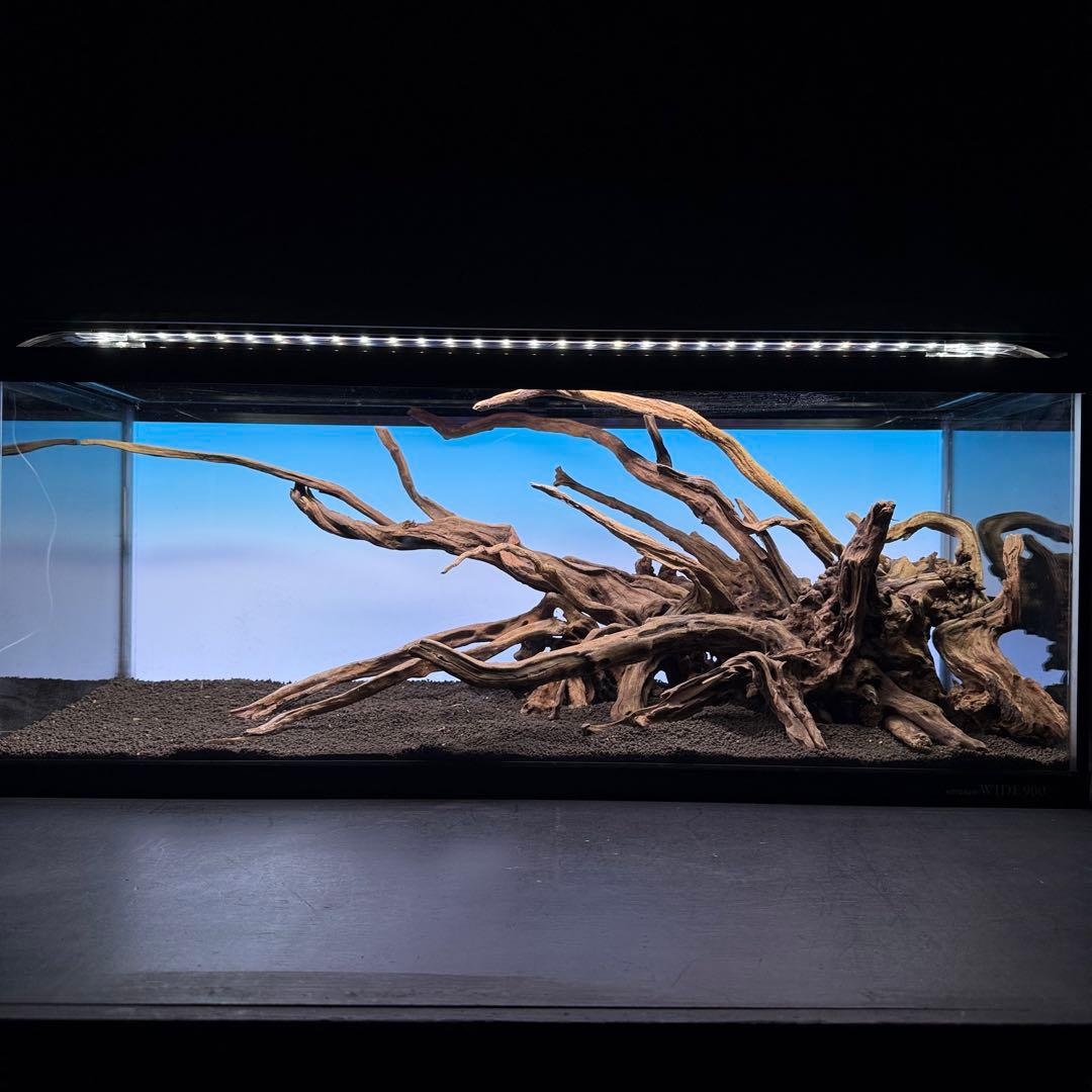 MSRW-7080 天然流木レイアウトセット　スリムウッド　アクアリウム