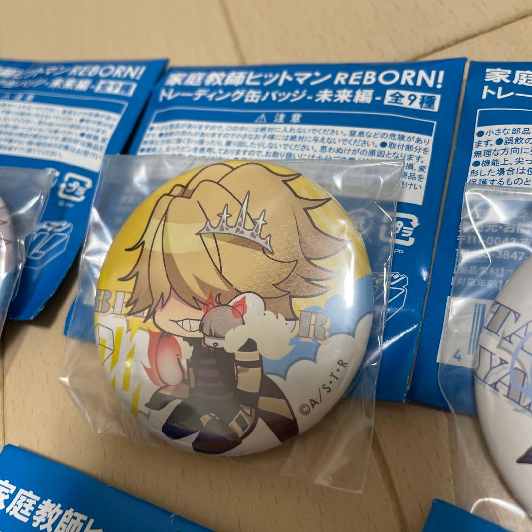 【全9種コンプ】家庭教師ヒットマンREBORN！トレーディング缶バッジ　未来編