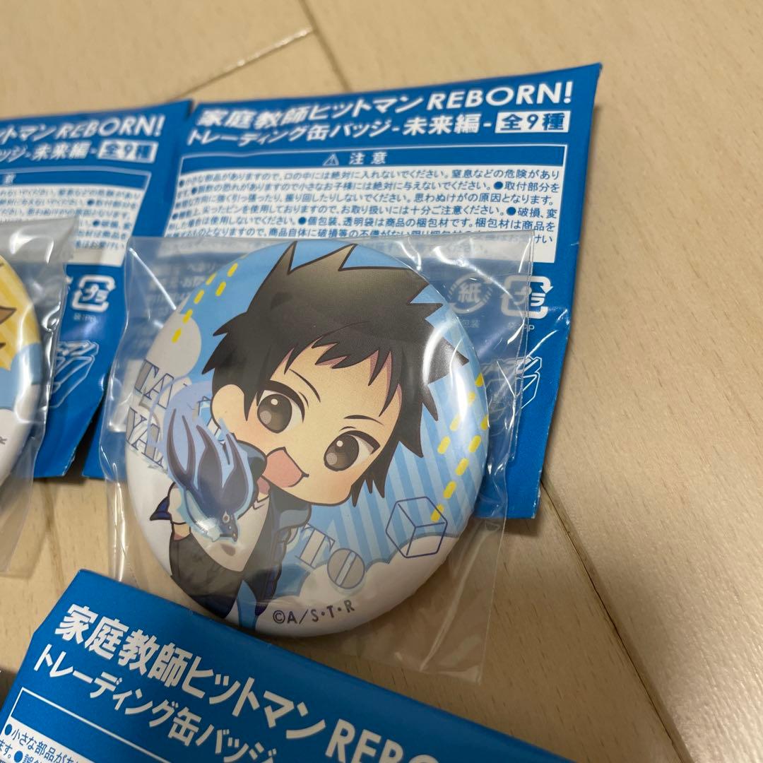 【全9種コンプ】家庭教師ヒットマンREBORN！トレーディング缶バッジ　未来編