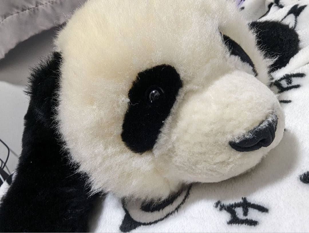 【入手困難】パンダ ぬいぐるみ リアル 本物 そっくり