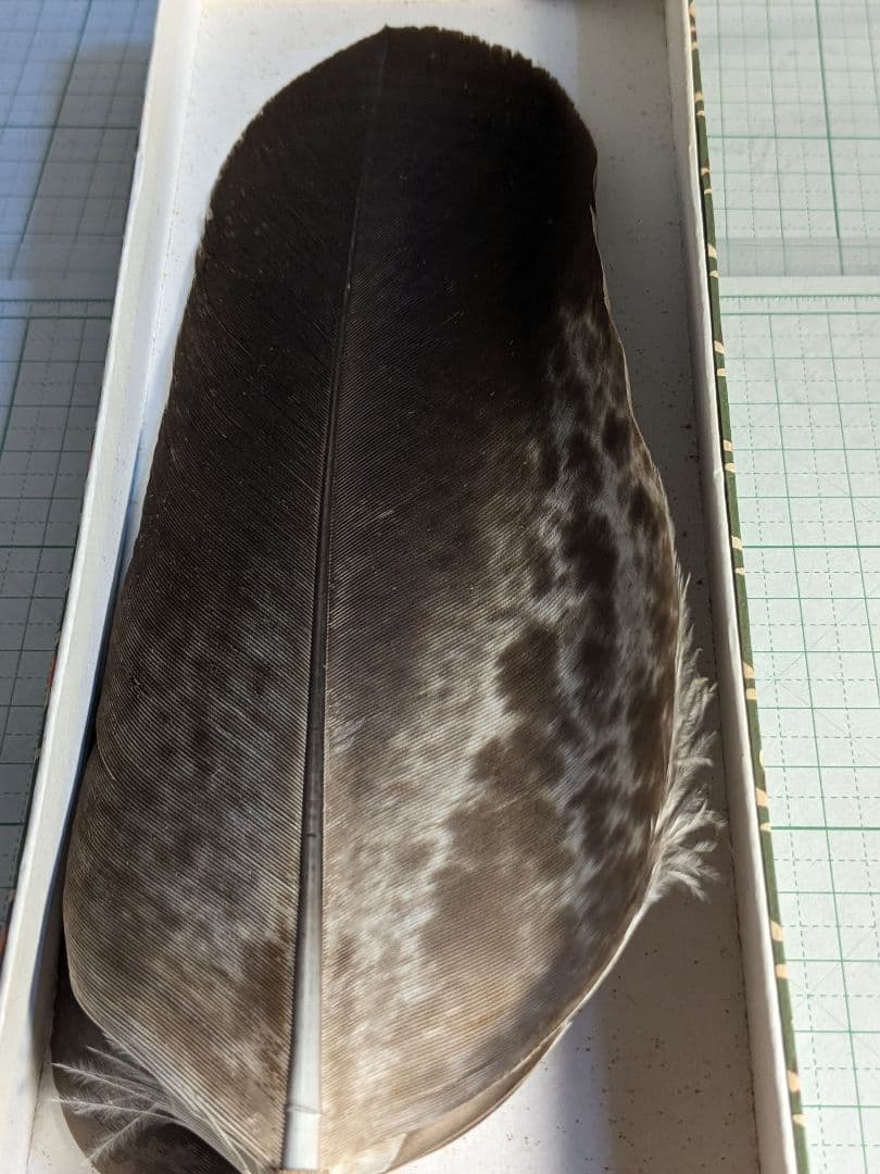 御羽掃　お茶道具　炉用　茶道 工芸品