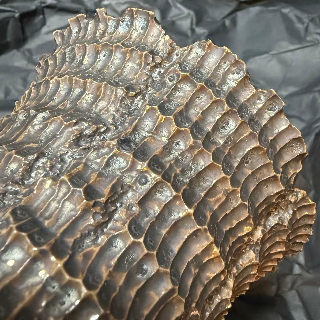 raw life factory RLF invisible ink 木輪