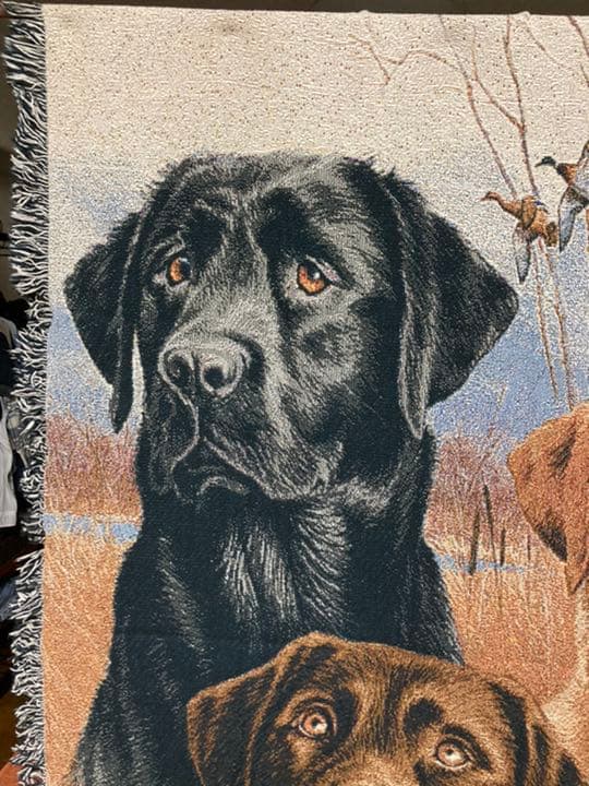 【希少】ラブラドール ゴブラン織 タペストリー