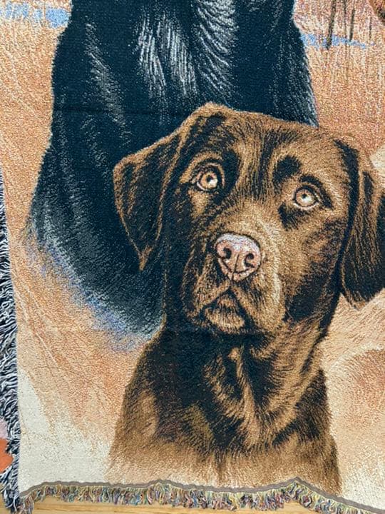 【希少】ラブラドール ゴブラン織 タペストリー